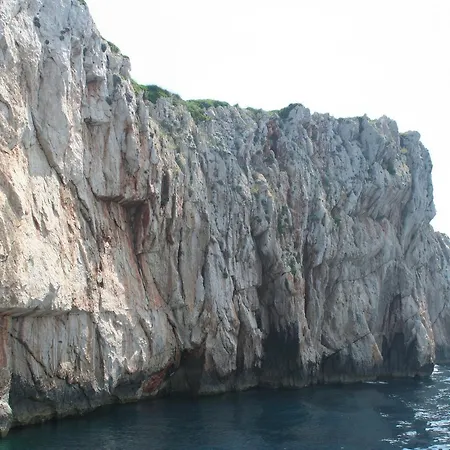 Natali * Gornji Karin